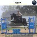 MAGNIFIQUE JUMENT - KIRTA - 4 ANS