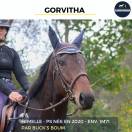 MAGNIFIQUE JUMENT - GORVITHA - 4 ANS