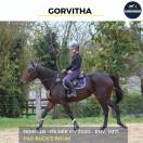 MAGNIFIQUE JUMENT - GORVITHA - 4 ANS