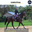 MAGNIFIQUE JUMENT - GORVITHA - 4 ANS