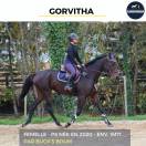 MAGNIFIQUE JUMENT - GORVITHA - 4 ANS