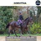 MAGNIFIQUE JUMENT - GORVITHA - 4 ANS