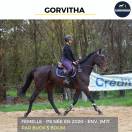 MAGNIFIQUE JUMENT - GORVITHA - 4 ANS