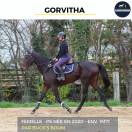 MAGNIFIQUE JUMENT - GORVITHA - 4 ANS