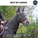 MAGNIFIQUE HONGRE - BOY OF CAMAS - 5ANS 