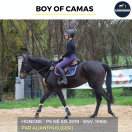 MAGNIFIQUE HONGRE - BOY OF CAMAS - 5ANS 