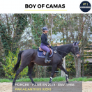 MAGNIFIQUE HONGRE - BOY OF CAMAS - 5ANS 