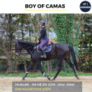 MAGNIFIQUE HONGRE - BOY OF CAMAS - 5ANS 