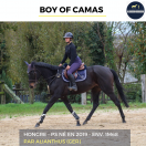 MAGNIFIQUE HONGRE - BOY OF CAMAS - 5ANS 