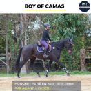 MAGNIFIQUE HONGRE - BOY OF CAMAS - 5ANS 