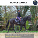 MAGNIFIQUE HONGRE - BOY OF CAMAS - 5ANS 