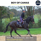 MAGNIFIQUE HONGRE - BOY OF CAMAS - 5ANS 