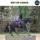 MAGNIFIQUE HONGRE - BOY OF CAMAS - 5ANS 