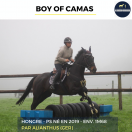 MAGNIFIQUE HONGRE - BOY OF CAMAS - 5ANS 