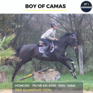 MAGNIFIQUE HONGRE - BOY OF CAMAS - 5ANS 