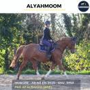 MAGNIFIQUE HONGRE - ALYAHMOOM - 4 ANS