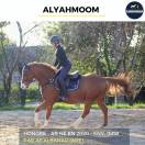 MAGNIFIQUE HONGRE - ALYAHMOOM - 4 ANS