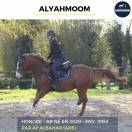 MAGNIFIQUE HONGRE - ALYAHMOOM - 4 ANS