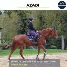 MAGNIFIQUE JUMENT - AZADI - 3 ANS