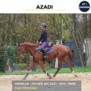 MAGNIFIQUE JUMENT - AZADI - 3 ANS