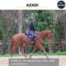 MAGNIFIQUE JUMENT - AZADI - 3 ANS