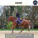 MAGNIFIQUE JUMENT - AZADI - 3 ANS