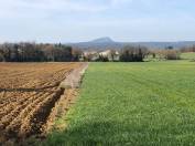 MAGNIFIQUE EXPLOITATION AGRICOLE DANS LE GARD