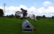 Poney de sport 6 ans C