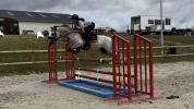 Poney de sport 6 ans C