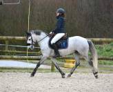 Poney de sport 6 ans C