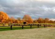 propiétée equestre