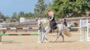 Etalon Camarguais : Esprit du Mas approuvé Elite