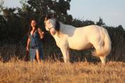 Saillie et IA étalon paint horse grullo sw1sw1 nO