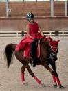 Hongre arabe taille D poney (1m43) 8 ans Alezan brulé