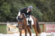 Hongre arabe taille D poney (1m43) 8 ans Alezan brulé