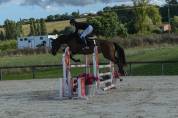 JUMENT 5 ANS TOP AMATEUR