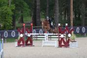 A vendre poney de grand prix 