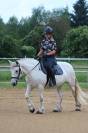 Amazing bombproof Fell Pony mare  for breeding /riding 