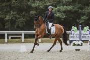 Cheval PRE PP Dressage Equitation de travail