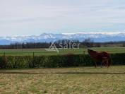 Proche Tarbes - Haras en activité