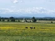 Proche Tarbes - Haras en activité