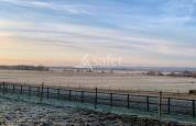 Proche Tarbes - Haras en activité