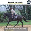 MAGNIFIQUE JUMENT - SWEET VIRGINIA - 6 ANS