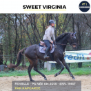 MAGNIFIQUE JUMENT - SWEET VIRGINIA - 6 ANS