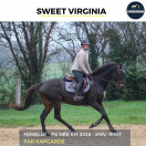 MAGNIFIQUE JUMENT - SWEET VIRGINIA - 6 ANS