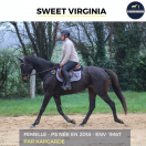 MAGNIFIQUE JUMENT - SWEET VIRGINIA - 6 ANS