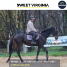 MAGNIFIQUE JUMENT - SWEET VIRGINIA - 6 ANS