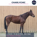 SUPERBE HONGRE - CHARLYCHIC - 6 ANS