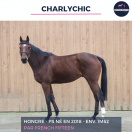 SUPERBE HONGRE - CHARLYCHIC - 6 ANS