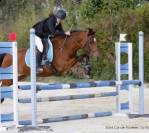 Pinette de 11 ans 1m48 loisirs ou cso P2